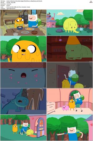 Adventure Time 2008 S01-S10 + Fionna and Cake 1080p Bluray EAC3 2.0 x265-iVy