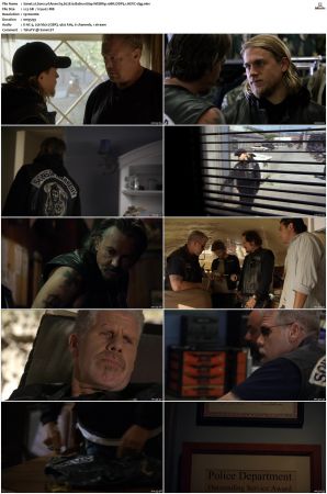 Sons of Anarchy S01 S07 SUPER-PACK 1080p WEBRip 10Bit DDP5 1 HEVC-d3g
