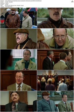Bob Servant Independent 2013 S01 S02 720p WEB-DL H264 BONE