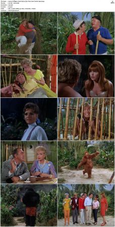 Gilligans Island S01 S03 DVDRip H264-NGP