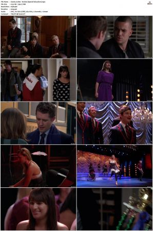 Glee S01 S06 480p WEB X264-NGP