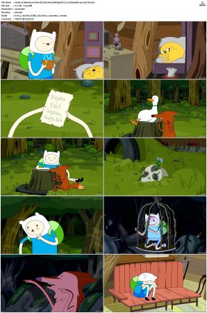 Adventure Time 2008 S01-S10 + Fionna and Cake 1080p Bluray EAC3 2.0 x265-iVy