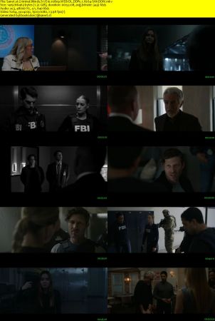 Criminal Minds S17E10 1080p WEB-DL DDP5.1 H264-SHADOW