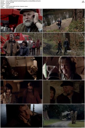 Wolfblood S01 S05 WEBRip EAC3 2 0 1080p x265-iVy