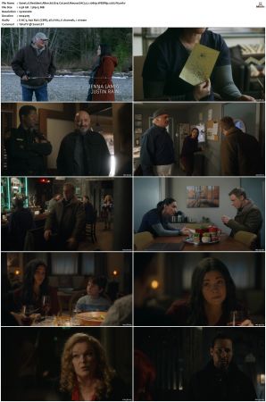 Resident Alien S01 S03 WEBRip EAC3 5 1 1080p x265-iVy
