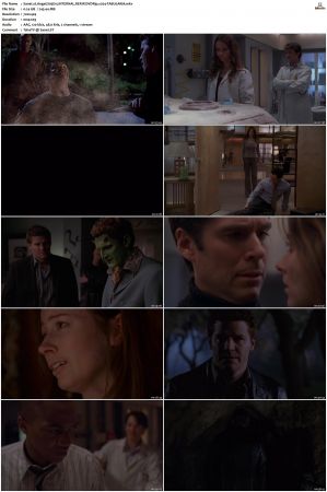 Angel S01 S05 SUPER-PACK iNTERNAL RERiP DVDRip x264-TABULARiA