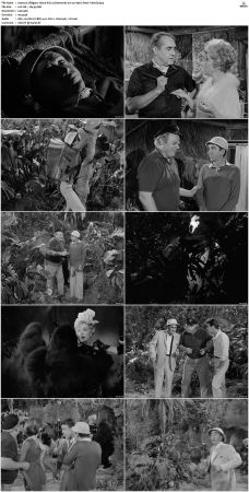 Gilligans Island S01 S03 DVDRip H264-NGP