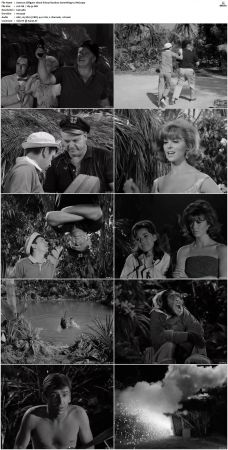 Gilligans Island S01 S03 DVDRip H264-NGP