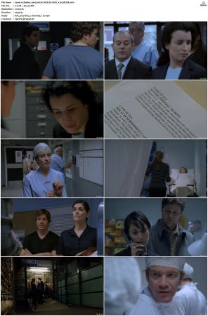 Bodies 2004 S01 S02 WEB-DL HEVC x265 BONE