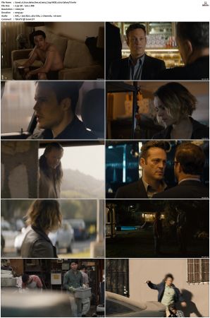 True Detective S01-S04 COMPLETE 720p BluRay x264-GalaxyTV