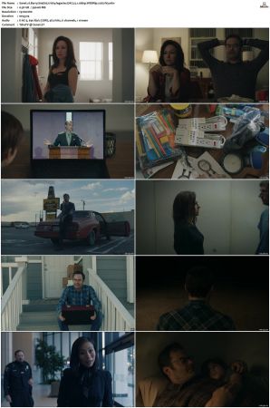 Barry S01 S04 SUPER-PACK WEBRip EAC3 5 1 1080p x265-iVy