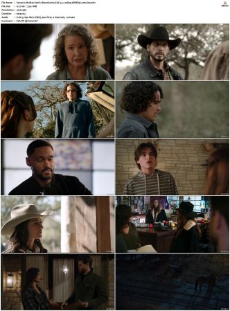 Walker S01 S04 WEBRip EAC3 5 1 1080p x265-iVy
