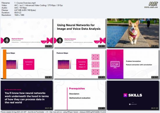 Using Neural Networks for Image and Voice Data Analysis
