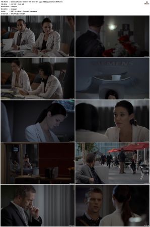 House S01-08 SUPER-PACK 720p WEB-DL AAC x265-BMF