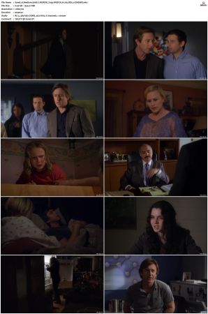 Medium S06 NORDiC 720p WEB-DL H 265 DD5 1-CiNEMiX