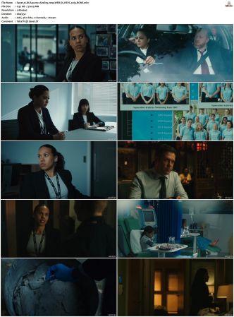 DI Ray 2022 S01 S02 720p WEB-DL HEVC x265 BONE