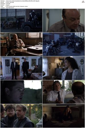Sons of Anarchy S01-S07 SUPER-PACK 1080p WEBRip 10Bit DDP5.1 HEVC-d3g