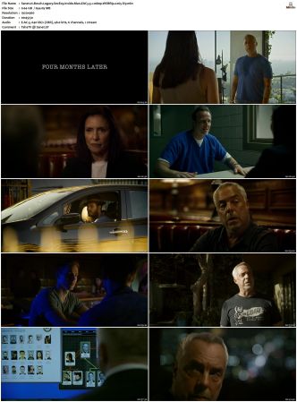 Bosch Legacy S01 S02 SUPER-PACK 1080p AMZN WEBRip DDP 5 1 x265-iVy