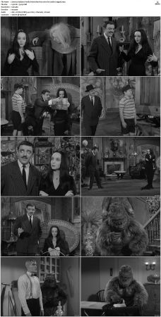 The Addams Family 1964 S01 S02 DVDRip X264-NGP