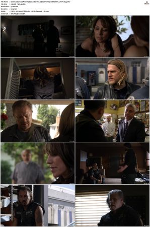 Sons of Anarchy S01 S07 SUPER-PACK 1080p WEBRip 10Bit DDP5 1 HEVC-d3g
