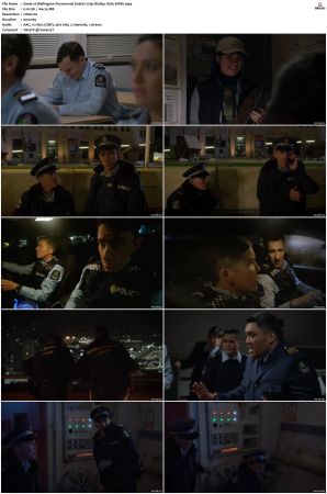 Wellington Paranormal S01 S04 720p BluRay H265 BONE