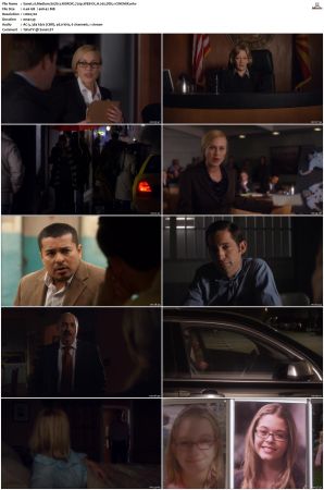 Medium S07 NORDiC 720p WEB-DL H 265 DD5.1-CiNEMiX
