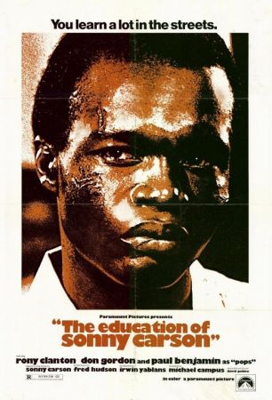 The Education of Sonny Carson 1974 DVDRip XviD x264-NGR