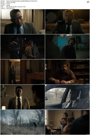 True Detective S01-S04 COMPLETE 720p BluRay x264-GalaxyTV