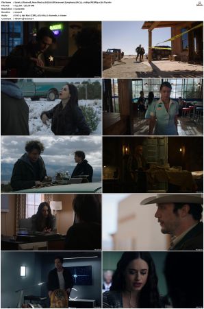 Roswell New Mexico 2019 S01 S04 WEBRip EAC3 5 1 1080p x265-iVy