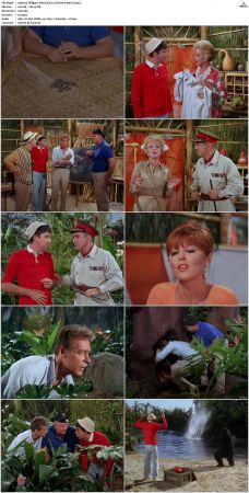 Gilligans Island S01 S03 DVDRip H264-NGP