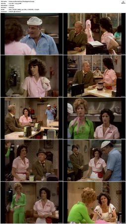 Alice S01-S09 480p DVDRip AAC2.0 x264-NGP