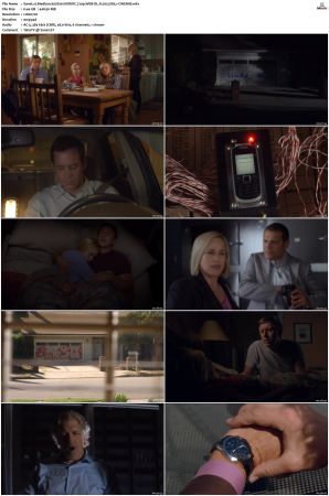 Medium S07 NORDiC 720p WEB-DL H 265 DD5.1-CiNEMiX