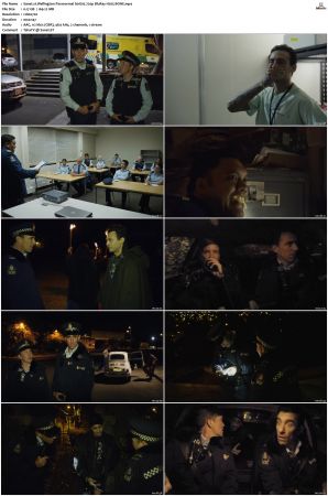 Wellington Paranormal S01 S04 720p BluRay H265 BONE