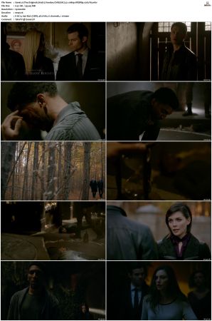 The Originals 2013 S01-S05 SUPER-PACK 1080p WEBRip EAC3 5.1 x265-iVy