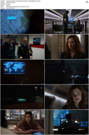 Zoo S01 S03 Bluray-WEB EAC3 5 1 1080p x265-iVy