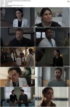 New Amsterdam 2018 S01-S05 1080p WEBRip EAC3 5.1 x265-iVy