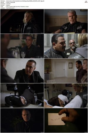 Sons of Anarchy S01-S07 SUPER-PACK 1080p WEBRip 10Bit DDP5.1 HEVC-d3g