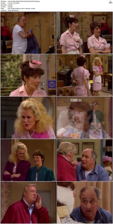 Alice S01-S09 480p DVDRip AAC2.0 x264-NGP