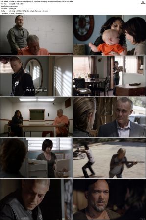 Sons of Anarchy S01-S07 SUPER-PACK 1080p WEBRip 10Bit DDP5.1 HEVC-d3g