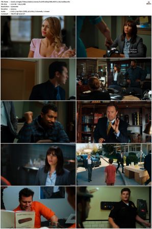Angie Tribeca S01-S04 SUPER-PACK 1080p WEB DDP5.1 HEVC x265-JoeBee