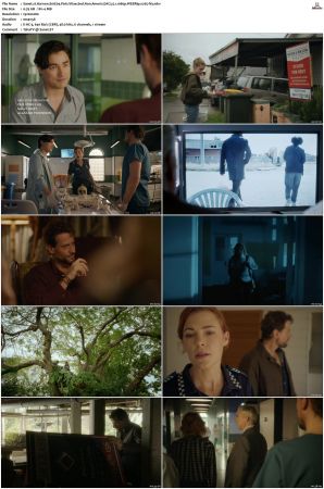Harrow S01 S03 WEBRip EAC3 5 1 1080p x265-iVy