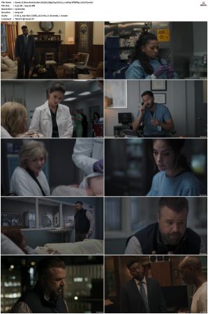 New Amsterdam 2018 S01-S05 1080p WEBRip EAC3 5.1 x265-iVy