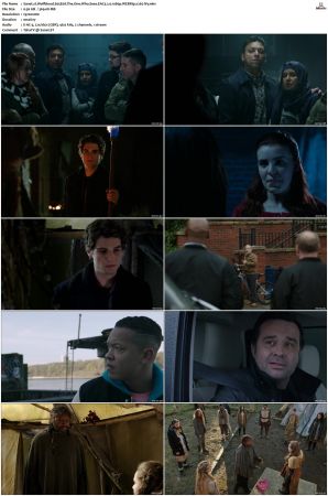 Wolfblood S01-S05 1080p WEBRip EAC3 2.0 x265-iVy