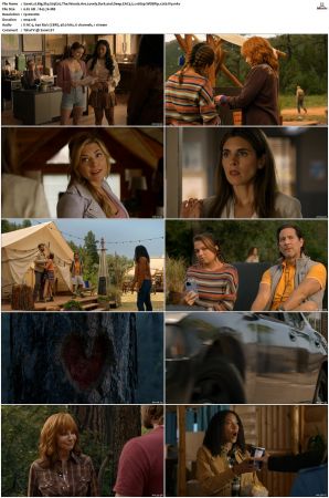 Big Sky S01-S03 1080p WEBRip EAC3 5.1 x265-iVy