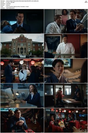 Angie Tribeca S01 S04 SUPER-PACK 1080p Web DDP5 1 HEVC x265-JoeBee