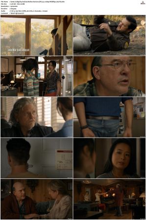 Big Sky S01 S03 WEBRip EAC3 5 1 1080p x265-iVy