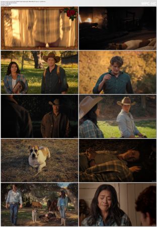 Jane the Virgin S05 1080p WEB AV1 Opus 5 1-onlyfaffs