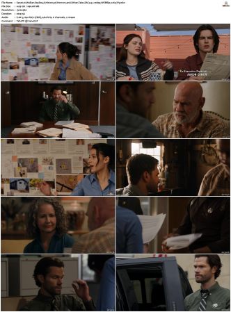 Walker S01-S04 1080p WEBRip EAC3 5.1 x265-iVy