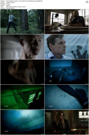 Banshee S01 S04 SUPER-PACK 720p x265-BMF