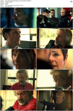 Flashpoint S01 S05 SUPER-PACK 720p BluRay x265-BMF